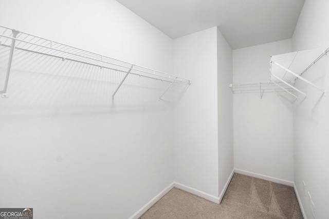 3805 Alden Pl, Cumming, GA 30028 - walk in closet with carpet flooring