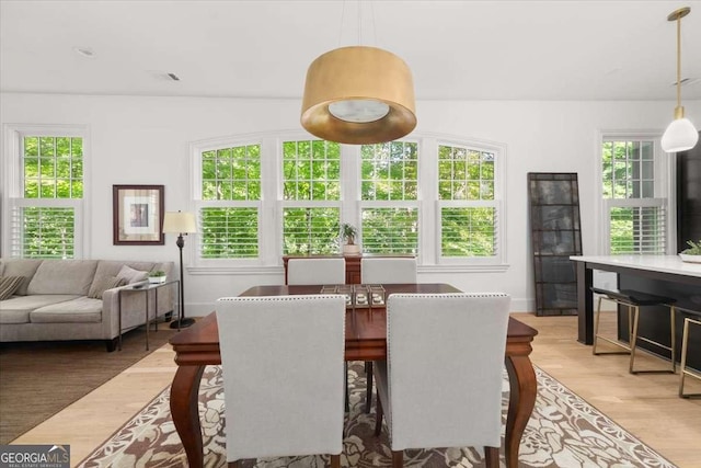 262 Southerland Ter NE, Atlanta, GA 30307 - dining room featuring light wood-style flooring and baseboards