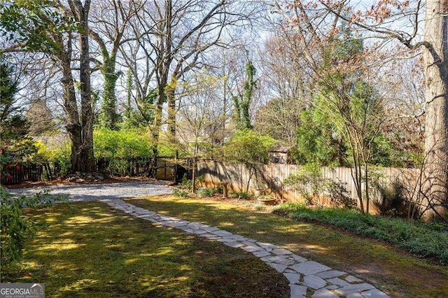 629 Hansell St SE, Atlanta, GA 30312 - view of yard