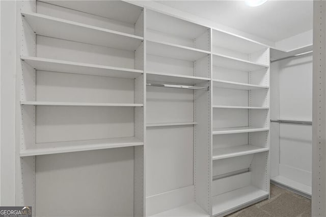 view of spacious closet