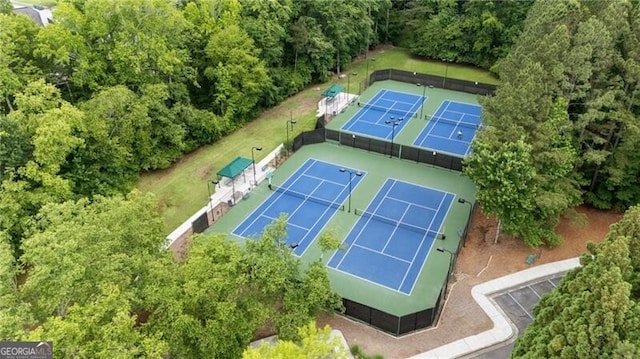 aerial view of a forest