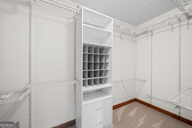 175 River Run, Roswell, GA 30075 - spacious closet with carpet