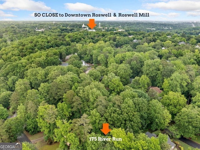 175 River Run, Roswell, GA 30075 - aerial view of a heavily wooded area
