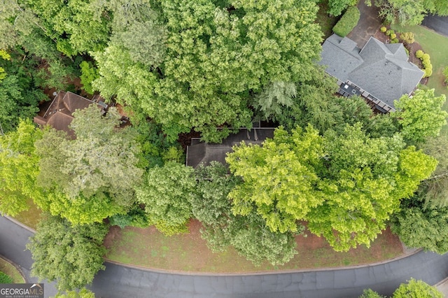 175 River Run, Roswell, GA 30075 - aerial view