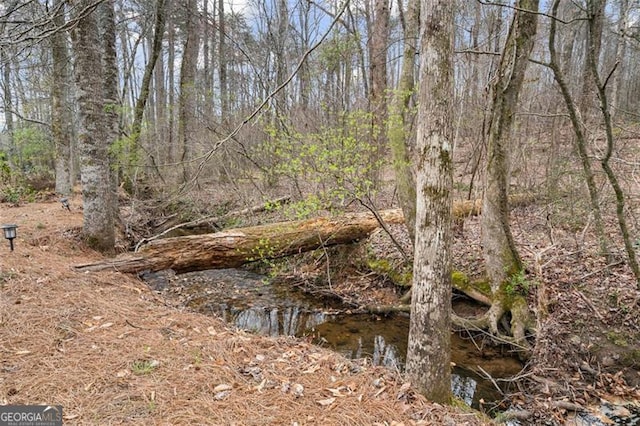 1525 Camden Cove Dr, Cumming, GA 30040 - view of undeveloped land
