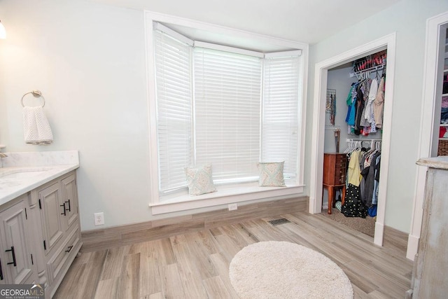bathroom with vanity, wood finished floors, and a spacious closet