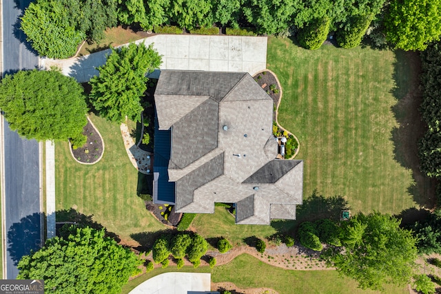 bird's eye view