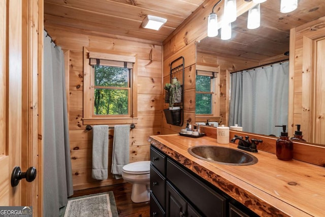 17 S Nicholas Way, Ellijay, GA 30540 - full bath featuring wooden ceiling, wooden walls, wood finished floors, toilet, and vanity