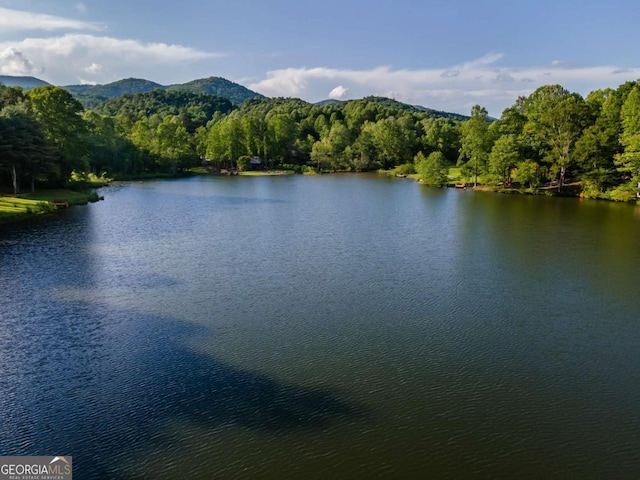17 S Nicholas Way, Ellijay, GA 30540 - water view with a heavily wooded area and a mountainous background