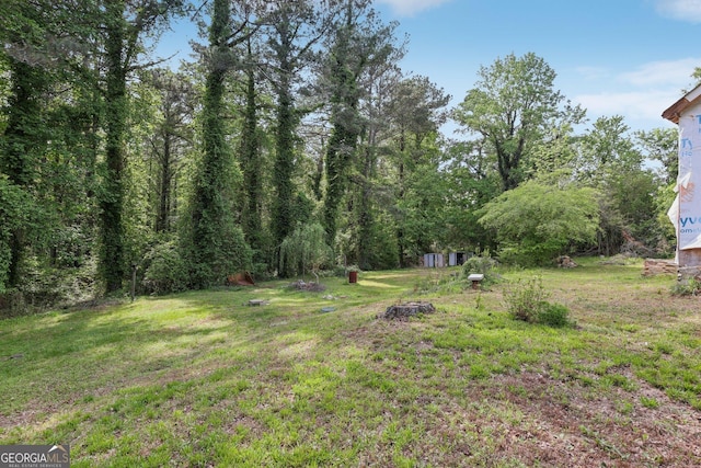 2003 Greeson Rd, Dacula, GA 30019 - view of grassy yard