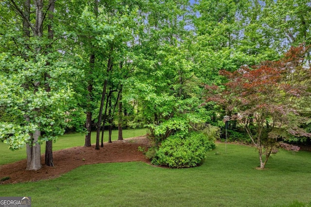 view of green lawn
