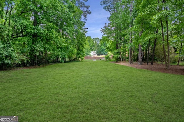 view of grassy yard