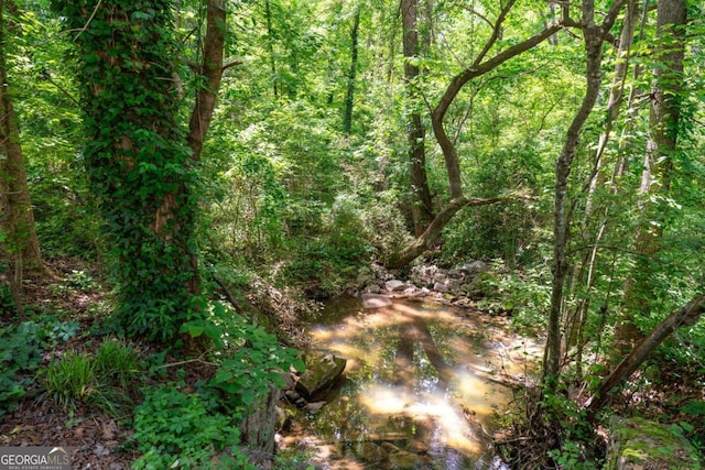 view of woods