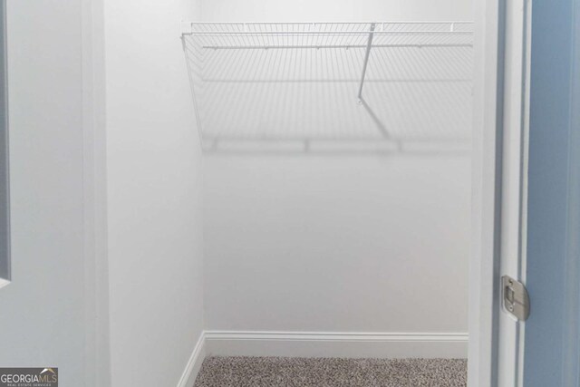 4183 May Apple Ln, Atlanta, GA 30349 - spacious closet with carpet flooring