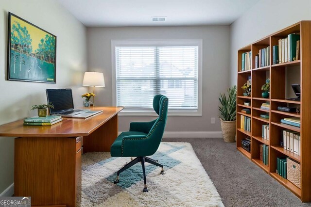4183 May Apple Ln, Atlanta, GA 30349 - carpeted home office with plenty of natural light and baseboards