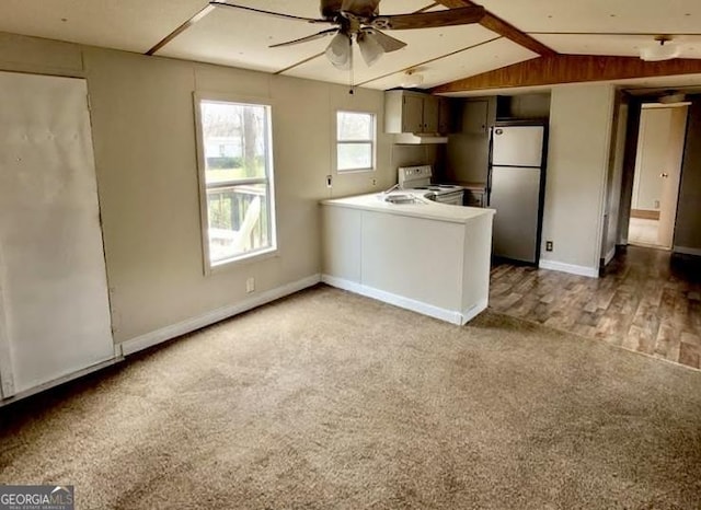 916 Friendly Mission Ln, Cornelia, GA 30531 - kitchen with white electric range, freestanding refrigerator, a ceiling fan, carpet flooring, and under cabinet range hood