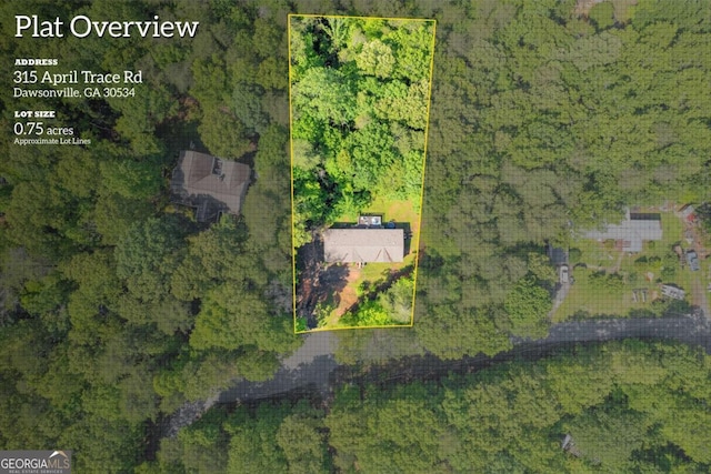 315 April Trce, Dawsonville, GA 30534 - aerial view