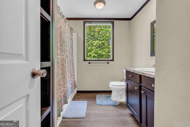 315 April Trce, Dawsonville, GA 30534 - bathroom featuring wood finished floors, toilet, vanity, baseboards, and a shower with shower curtain