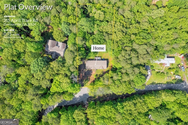 315 April Trce, Dawsonville, GA 30534 - aerial overview of property's location featuring property boundaries highlighted