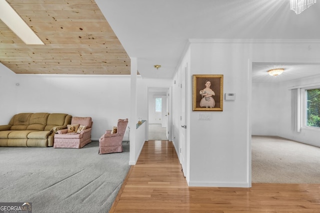 living room featuring light wood finished floors, baseboards, and light colored carpet