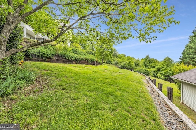 view of yard