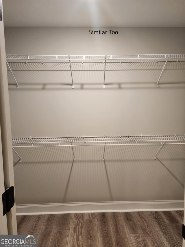 walk in closet featuring wood finished floors