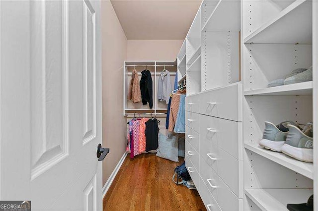 spacious closet featuring wood finished floors
