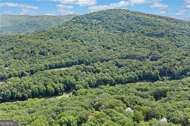 view of mountain background featuring a forest