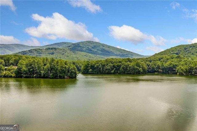 water view featuring a heavily wooded area and a mountainous background
