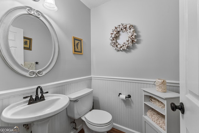 226 Le Paradis Blvd, Sharpsburg, GA 30277 - half bath with wainscoting, a sink, and toilet