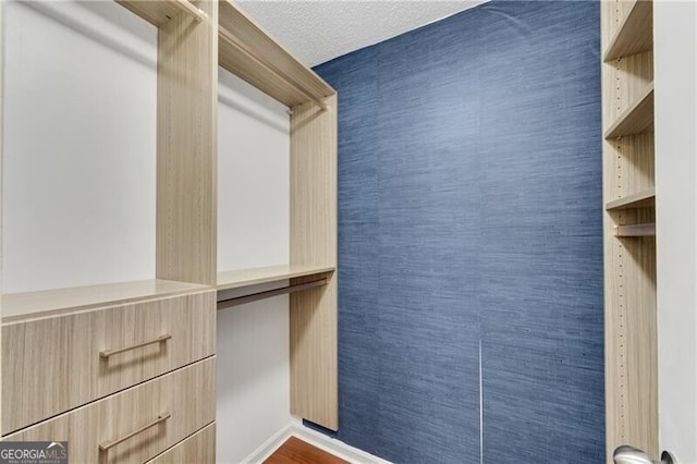 3655 Habersham Rd NE Unit 244B, Atlanta, GA 30305 - view of walk in closet