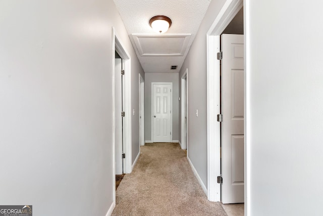 1405 Lumpkin County Pkwy, Dahlonega, GA 30533 - corridor featuring light carpet, attic access, and baseboards