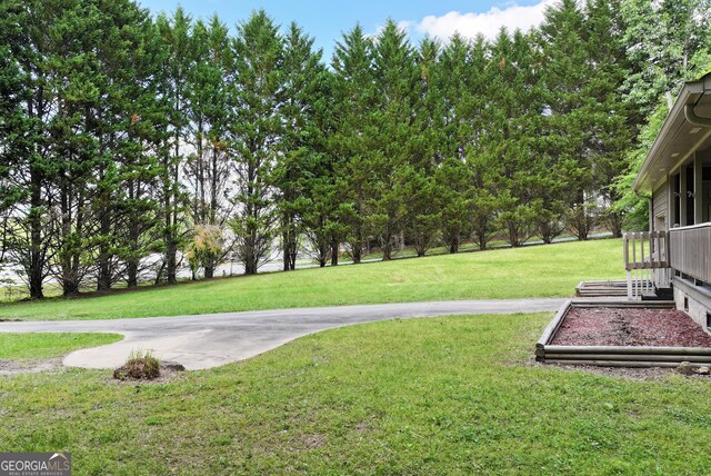 1405 Lumpkin County Pkwy, Dahlonega, GA 30533 - view of green lawn