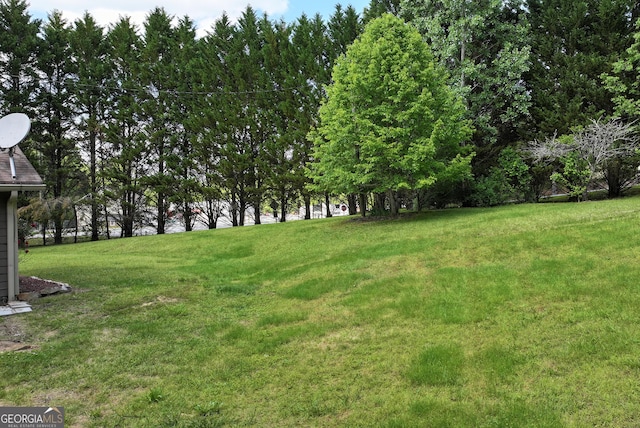 1405 Lumpkin County Pkwy, Dahlonega, GA 30533 - view of green lawn