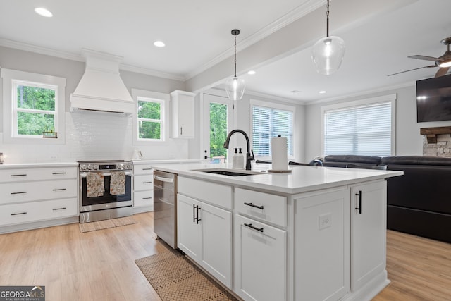 kitchen with appliances with stainless steel finishes, premium range hood, a sink, open floor plan, and backsplash