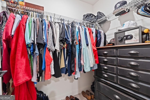 view of spacious closet