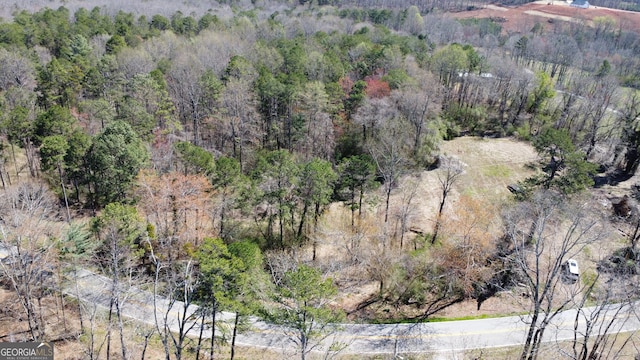 766 Hollywood Church Rd, Clarkesville, GA 30523