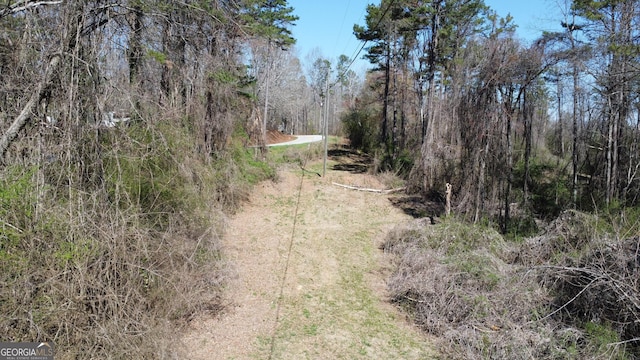 766 Hollywood Church Rd, Clarkesville, GA 30523