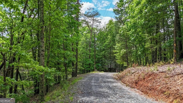 1157 Laurel Creek Rd, Blue Ridge, GA 30513 - view of street featuring a forest view