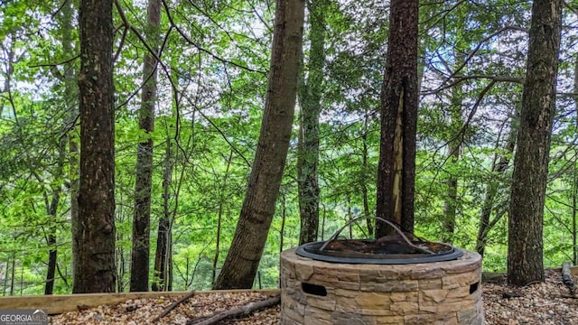 1157 Laurel Creek Rd, Blue Ridge, GA 30513 - exterior view of a view of trees