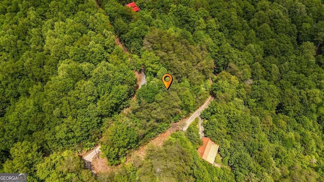 1157 Laurel Creek Rd, Blue Ridge, GA 30513 - aerial view of property's location with a forest