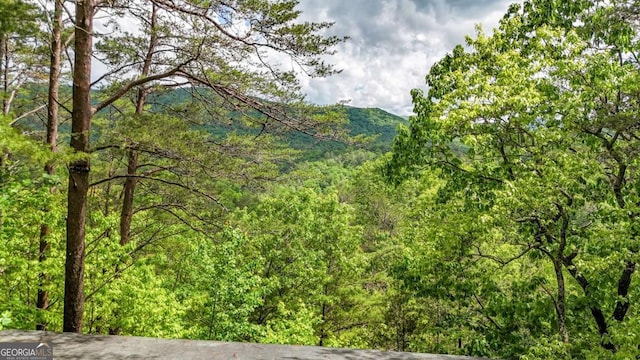 1157 Laurel Creek Rd, Blue Ridge, GA 30513 - view of mountain backdrop featuring a heavily wooded area