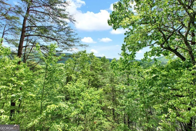 1157 Laurel Creek Rd, Blue Ridge, GA 30513 - view of woods