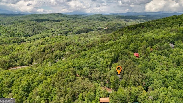 1157 Laurel Creek Rd, Blue Ridge, GA 30513 - bird's eye view of a heavily wooded area and a mountain backdrop