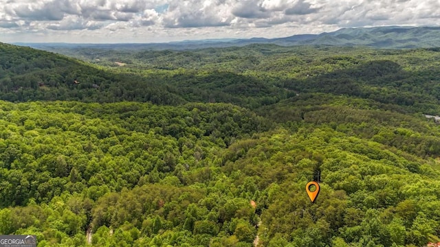 1157 Laurel Creek Rd, Blue Ridge, GA 30513 - aerial view of a forest and mountains