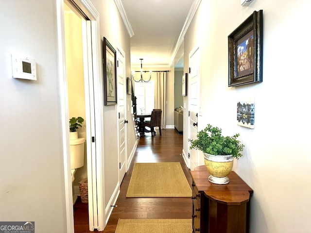 hallway with dark wood-style flooring, ornamental molding, baseboards, and a chandelier