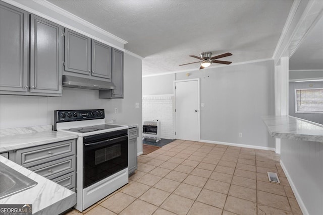 684 Hog Liver Rd, Carrollton, GA 30117 - kitchen with electric stove, under cabinet range hood, gray cabinetry, a textured ceiling, and ceiling fan
