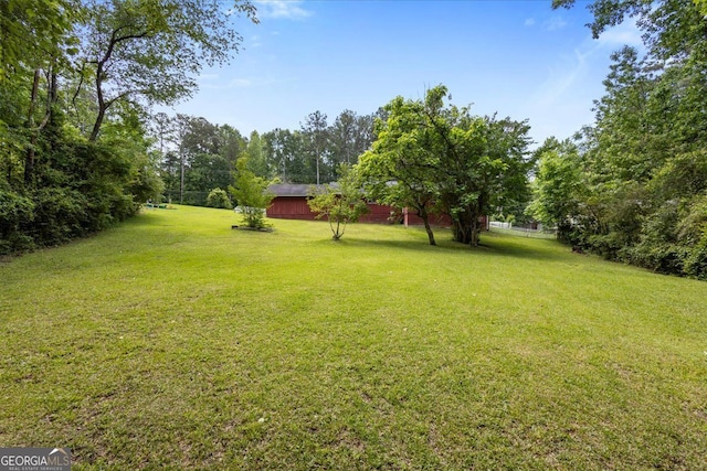 684 Hog Liver Rd, Carrollton, GA 30117 - view of grassy yard