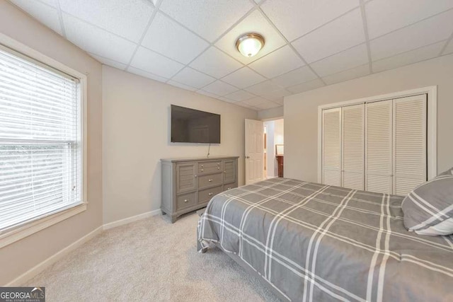 bedroom featuring a drop ceiling, multiple windows, a closet, carpet floors, and baseboards
