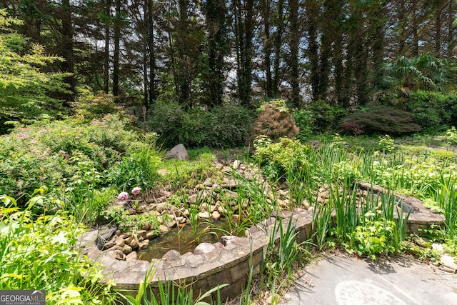 11569 Finley Rd, Johns Creek, GA 30024 - view of undeveloped land